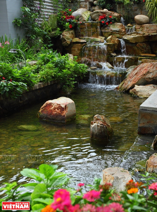 Độc đáo quán càphê nằm trên cây si cổ thụ giữa thành phố ảnh 10