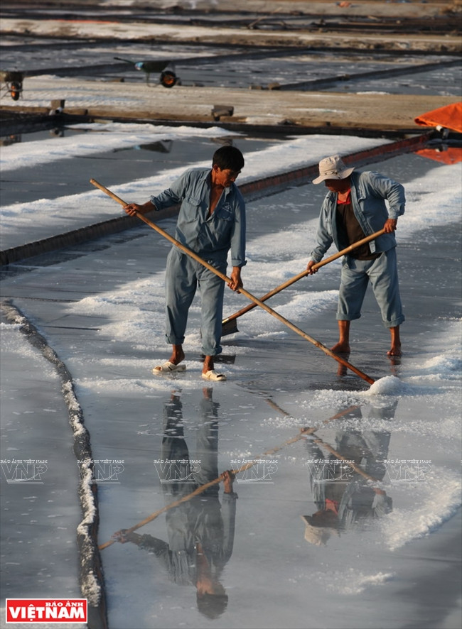 Chiêm ngưỡng "núi tuyết trắng" trên đồng muối Hòn Khói ảnh 4