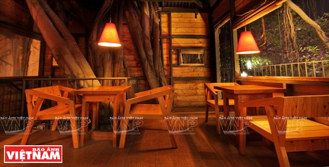 Độc đáo quán càphê nằm trên cây si cổ thụ giữa thành phố ảnh 4