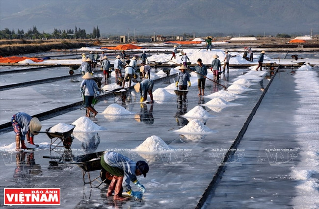 Chiêm ngưỡng "núi tuyết trắng" trên đồng muối Hòn Khói ảnh 2