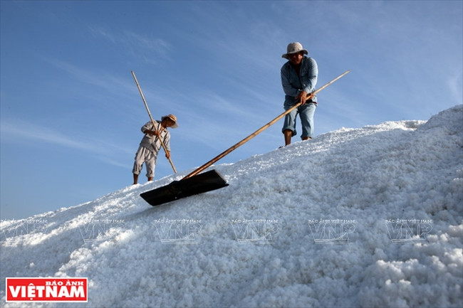 Chiêm ngưỡng "núi tuyết trắng" trên đồng muối Hòn Khói ảnh 8