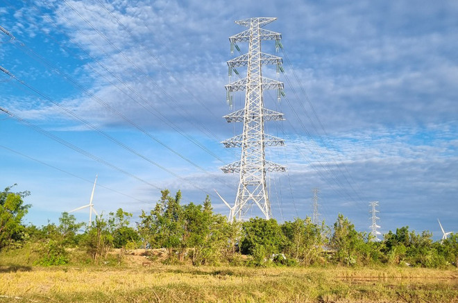 Đóng điện đường dây 220kV Ninh Phước-Thuận Nam ở tỉnh Ninh Thuận ảnh 1