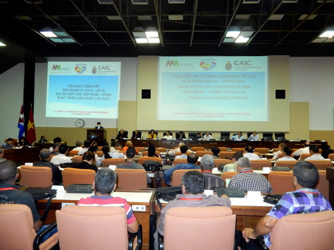 Cuba tổ chức hội nghị tổng kết dự án hợp tác lúa gạo với Việt Nam ảnh 1