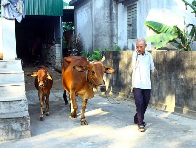 Động lực vượt lên số phận từ một lần được gặp Bác Hồ ảnh 1