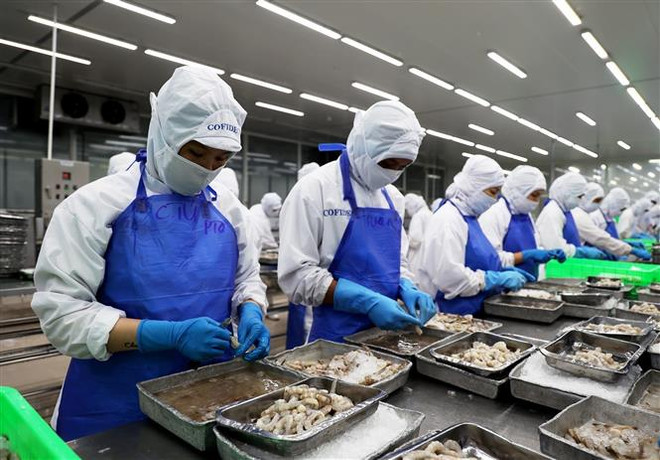 Ổn định thị trường lao động cuối năm: Đồng hành cùng vượt khó ảnh 1