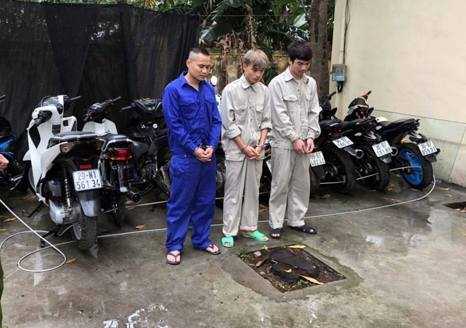 3 đối tượng Công, Mạnh, Vinh và số xe máy tang vật của vụ án. (Nguồn: TTXVN phát) Hải Dương: Bắt giữ nhóm đối tượng trộm cắp xe máy liên tỉnh ảnh 1