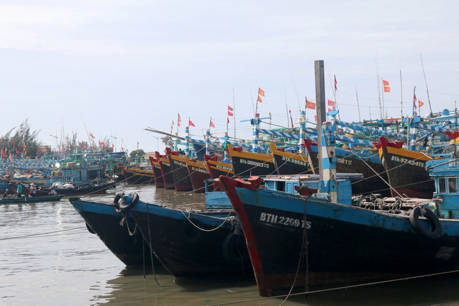 Các tỉnh phía Nam "chạy đua với thời gian" chuẩn bị đối phó bão số 12 ảnh 1