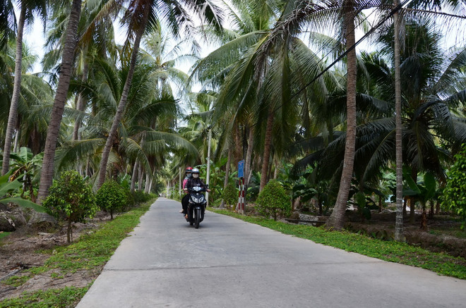 [Photo] Bến Tre vươn mình mạnh mẽ sau 40 năm giải phóng ảnh 2