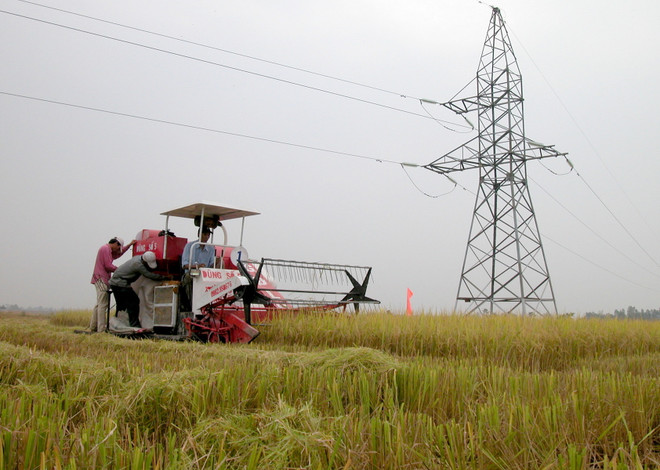 Các đại gia chia sẻ kinh nghiệm đầu tư vào nông nghiệp "thời TPP" ảnh 1