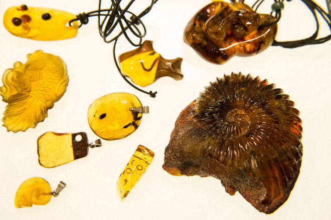 [Photo] Triển lãm “Hành trình Hổ phách” tại thành phố Vilnius ảnh 3