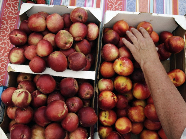 Cảnh báo bệnh nhiễm khuẩn Listeria gia tăng tại châu Âu ảnh 1