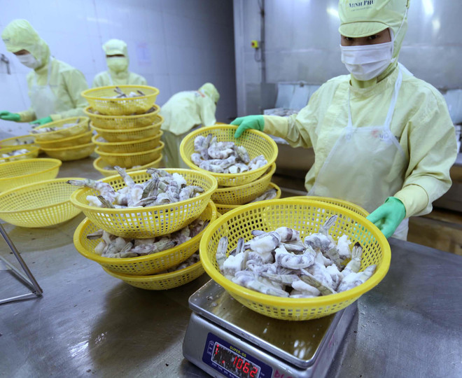 Cổ phiếu ngành tôm tăng mạnh nhờ thuế xuất vào Mỹ về 0% ảnh 1