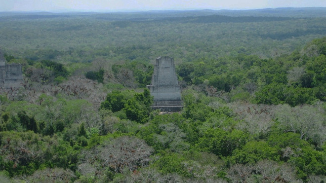 Thành phố Tikal thuộc nền văn minh Maya cổ đại là một trong những địa điểm khảo cổ được được nghiên cứu kỹ lưỡng nhất trên thế giới. (Nguồn: brown.edu) Phát hiện mới về thành phố thuộc nền văn minh cổ đại ở Guatemala ảnh 1