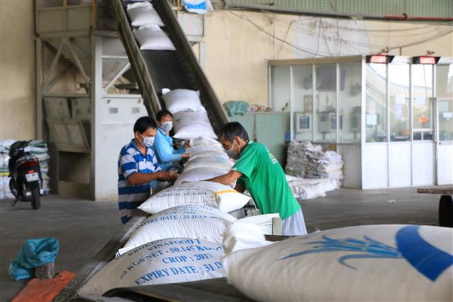 Đôn đốc các địa phương triển khai Chương trình phục hồi kinh tế-xã hội ảnh 1