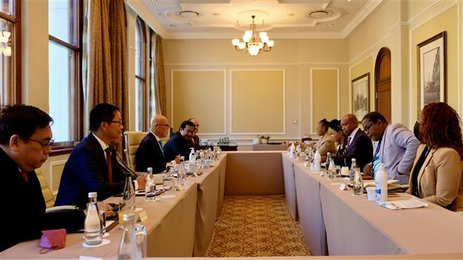 Thúc đẩy quan hệ song phương Việt Nam-Nam Phi sau đại dịch ảnh 1