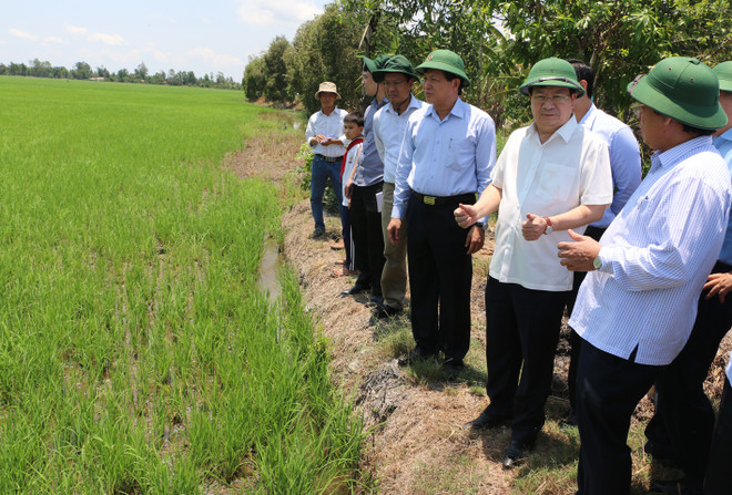Bằng mọi cách không để dân vùng hạn mặn thiếu nước sinh hoạt ảnh 1