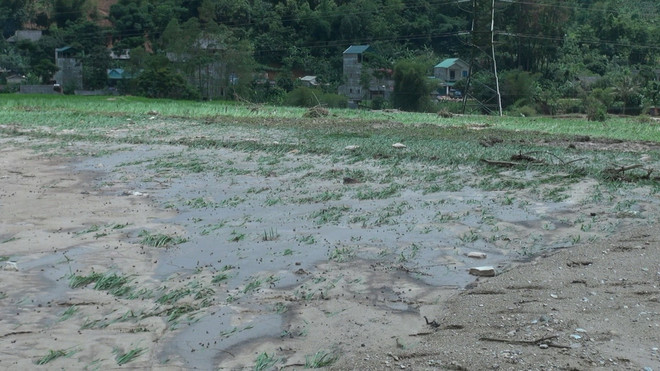 Mưa lũ kinh hoàng tàn phá huyện miền núi của tỉnh Sơn La ảnh 1