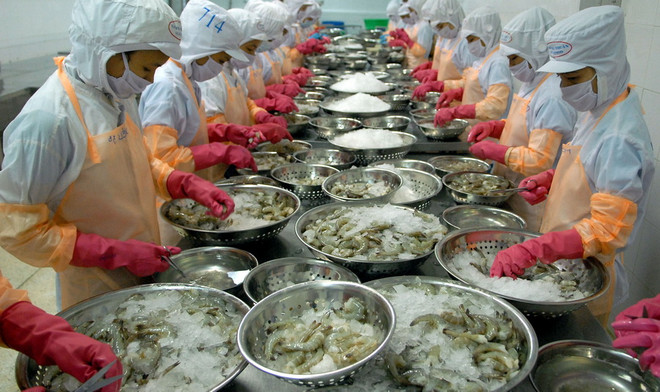 Ngành tôm Việt Nam chưa được định vị trên thị trường thế giới ảnh 1