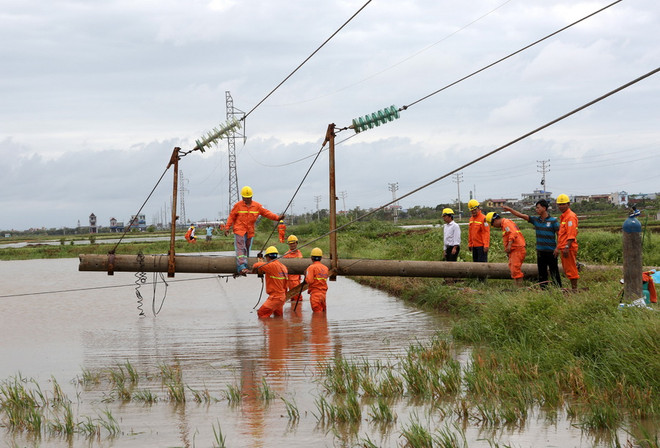 Gần 5.500 nhân lực khắc phục sự cố lưới điện sau bão số 1 ảnh 1