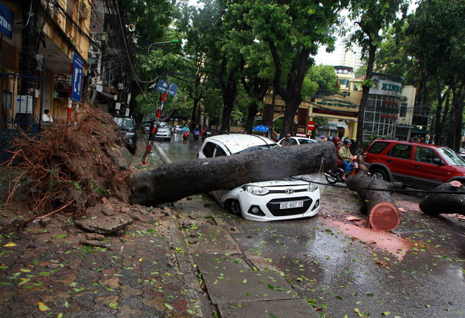 Thủ tướng Chính phủ ra công điện ứng phó với cơn bão số 2 ảnh 1