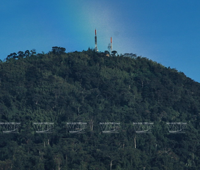 Lên đỉnh Bà Rá - một trong ba ngọn núi cao nhất Đông Nam Bộ ảnh 11