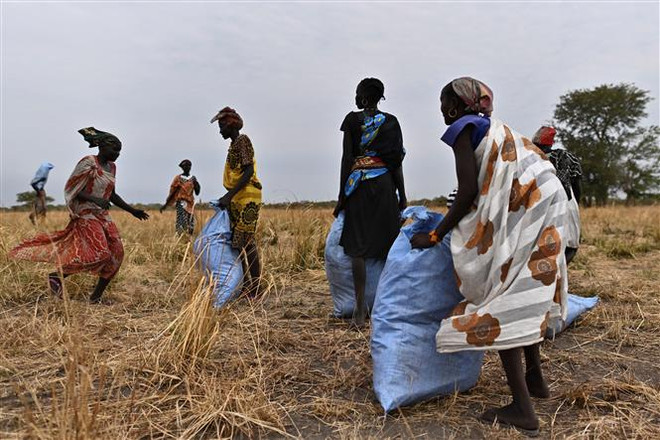 Người dân nhận thực phẩm cứu trợ tại Ayod (Nam Sudan), ngày 6/2/2020. (Ảnh: AFP/TTXVN) WFP cắt giảm viện trợ lương thực cho người dân Nam Sudan ảnh 1