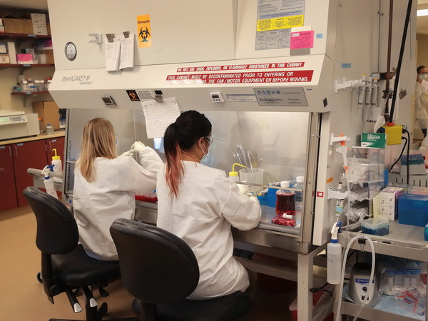 Pháp và Mỹ hợp tác phát triển vắcxin phòng chống virus Zika ảnh 1