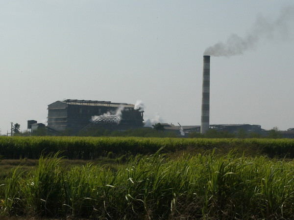 Cuba và Anh hợp tác phát triển năng lượng tái tạo từ bã mía ảnh 1