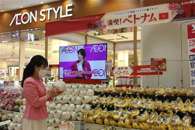 Nông sản Việt Nam tìm "điểm chạm" với thị trường Nhật Bản ảnh 1