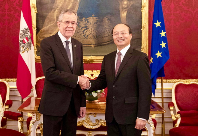 Áo luôn coi trọng và ủng hộ việc thúc đẩy quan hệ với Việt Nam ảnh 1