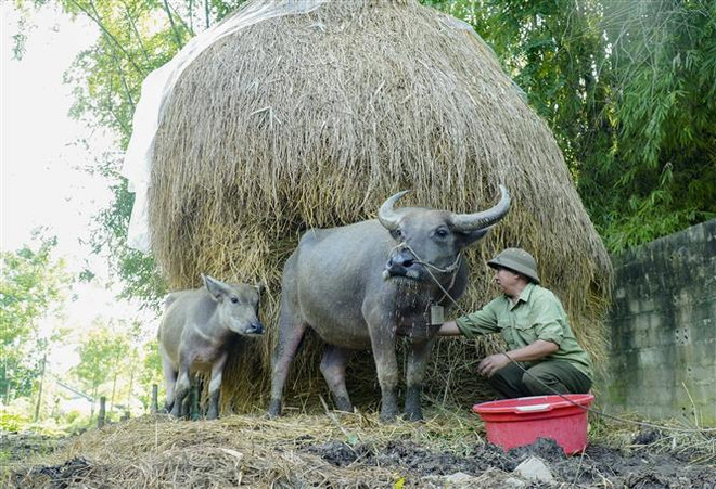 Tập trung nhận diện các vấn đề xã hội mới, tầm nhìn đến 2045 ảnh 1
