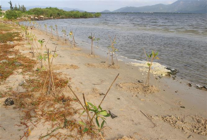 Việt Nam dành phần lớn ngân sách khí hậu cho chi tiêu thích ứng ảnh 2