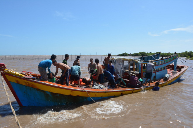 Tìm thấy thi thể nạn nhân mất tích trong vụ chìm tàu tại Bến Tre ảnh 1