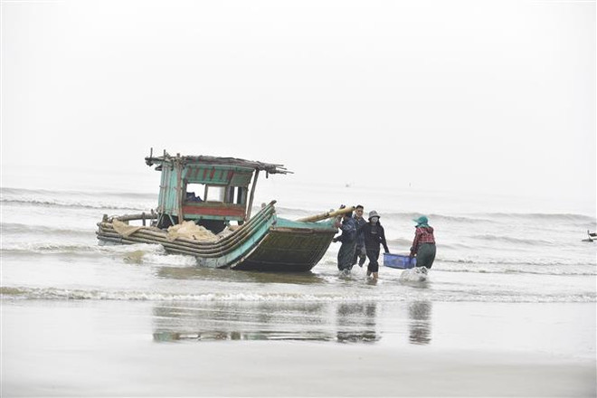 Chủ động ứng phó với sóng cao, gió Đông Bắc giật mạnh trên biển ảnh 1