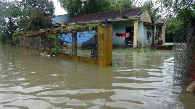 Mưa lớn gây ngập lụt trên diện rộng ở huyện Phú Ninh, Quảng Nam, ngày 3/12. (Ảnh: Đỗ Trưởng/TTXVN) Mưa lớn diện rộng, miền Trung đối mặt với nguy cơ lũ lớn ảnh 1