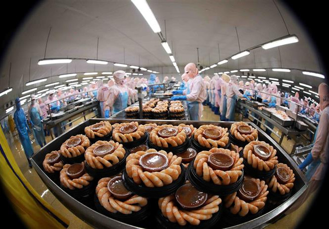 Mở rộng hợp tác trong các lĩnh vực ưu tiên giữa Việt Nam và EU ảnh 1