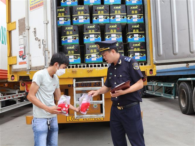 Xuất khẩu nông sản qua các cửa khẩu Lạng Sơn tăng mạnh đầu năm 2023 ảnh 1