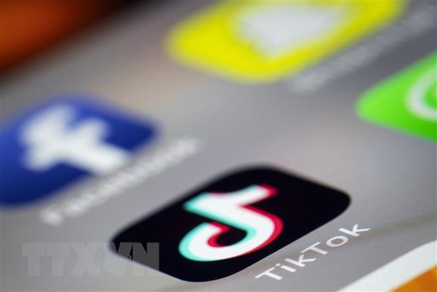 Giới lập pháp Mỹ kêu gọi giải quyết các lo ngại về TikTok ảnh 1