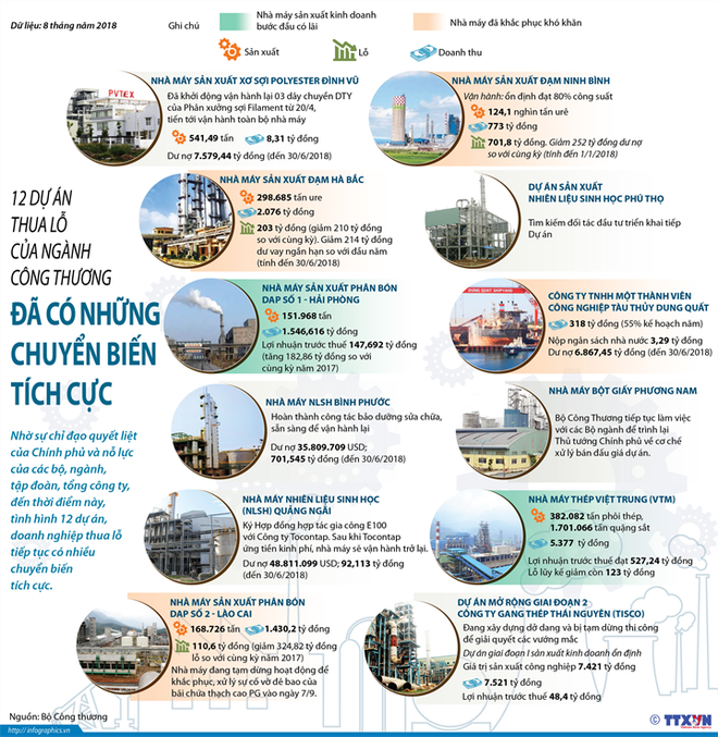 Phó Thủ tướng: Kiên quyết cho phá sản các dự án không thể tái cơ cấu ảnh 2