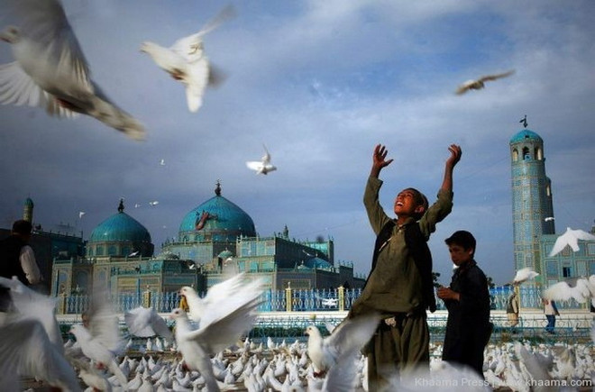 Nga thông báo hoãn cuộc hòa đàm về Afghanistan ở Moskva ảnh 1