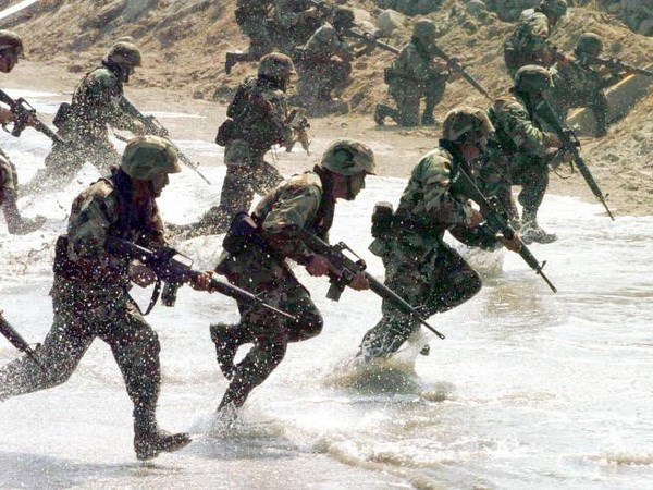 Nghị sỹ Đức thừa nhận NATO không đủ khả năng bảo vệ châu Âu ảnh 1