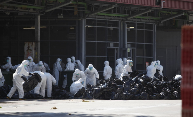 [Video] Ca tử vong đầu tiên vì virus cúm H7N9 ở Hong Kong ảnh 1