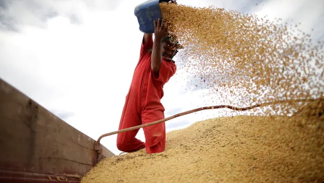 Trung Quốc tạm dừng mua nông sản Mỹ, dọa áp thuế nhập khẩu mới ảnh 1