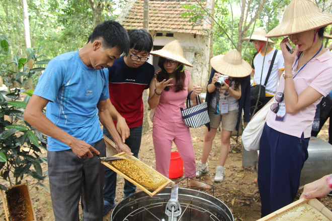 Nhóm bạn trẻ tỏ ra hứng thú hơn cả khi được tự tay chế biến và thưởng thức mật ong. (Ảnh: CTV) Đoàn giao lưu thanh niên Việt-Thái thử tài chế biến nông sản ảnh 5