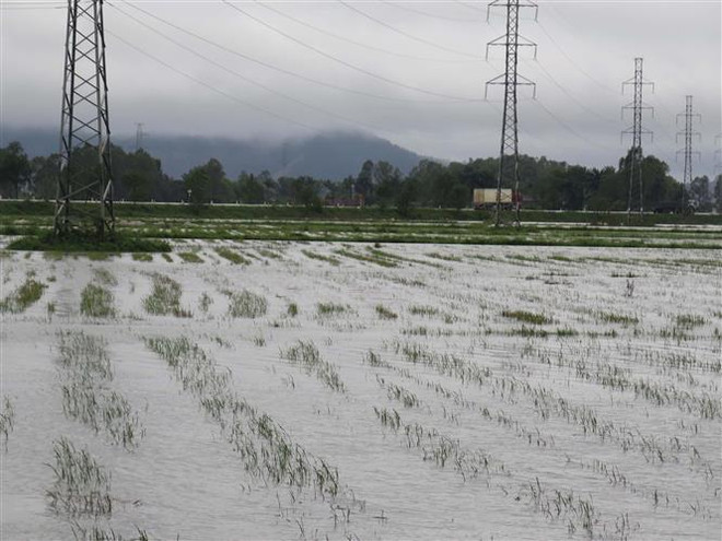 Xuất cấp hóa chất hỗ trợ tỉnh Nghệ An phòng, chống dịch bệnh ảnh 1