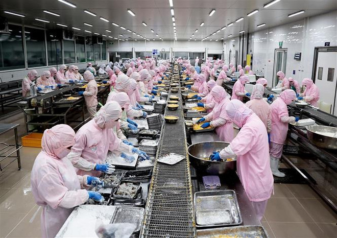 Xây dựng đội ngũ doanh nghiệp TP.HCM phát triển vững mạnh ảnh 2