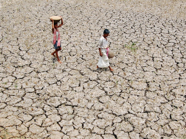 Nắng nóng ở miền Nam Ấn Độ khiến 70 người thiệt mạng ảnh 1