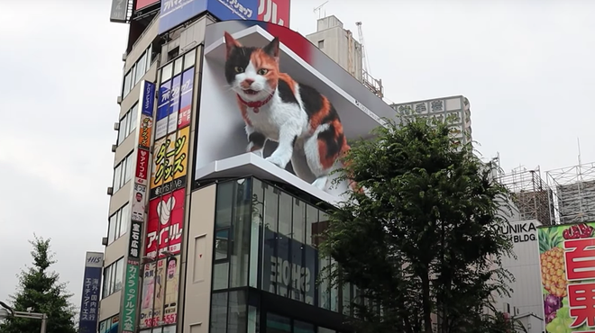 Chú mèo Shinjuku. (Nguồn: kotaku.com) Chú mèo 3D khổng lồ "gây bão" tại thủ đô của Nhật Bản ảnh 1