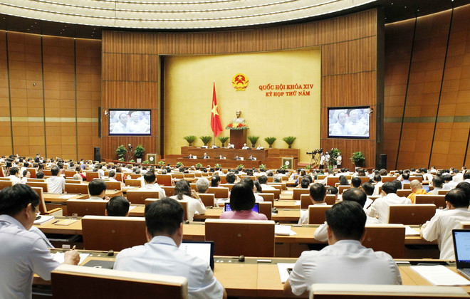 Đại biểu Quốc hội kiến nghị về "độ trễ" giữa luật và nghị định ảnh 1