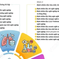 Danh mục 35 bệnh nghề nghiệp được hưởng Bảo hiểm xã hội